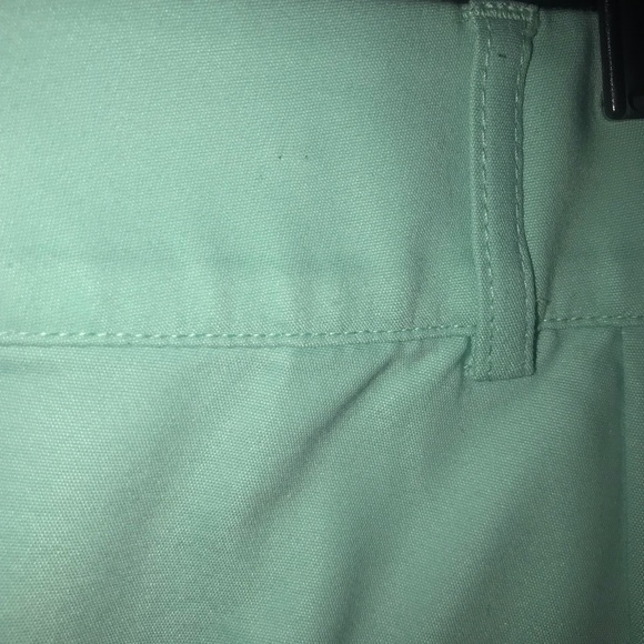 Lane Bryant MintGrn Sophie Modernist Ankle Pant 24 - Picture 3 of 7